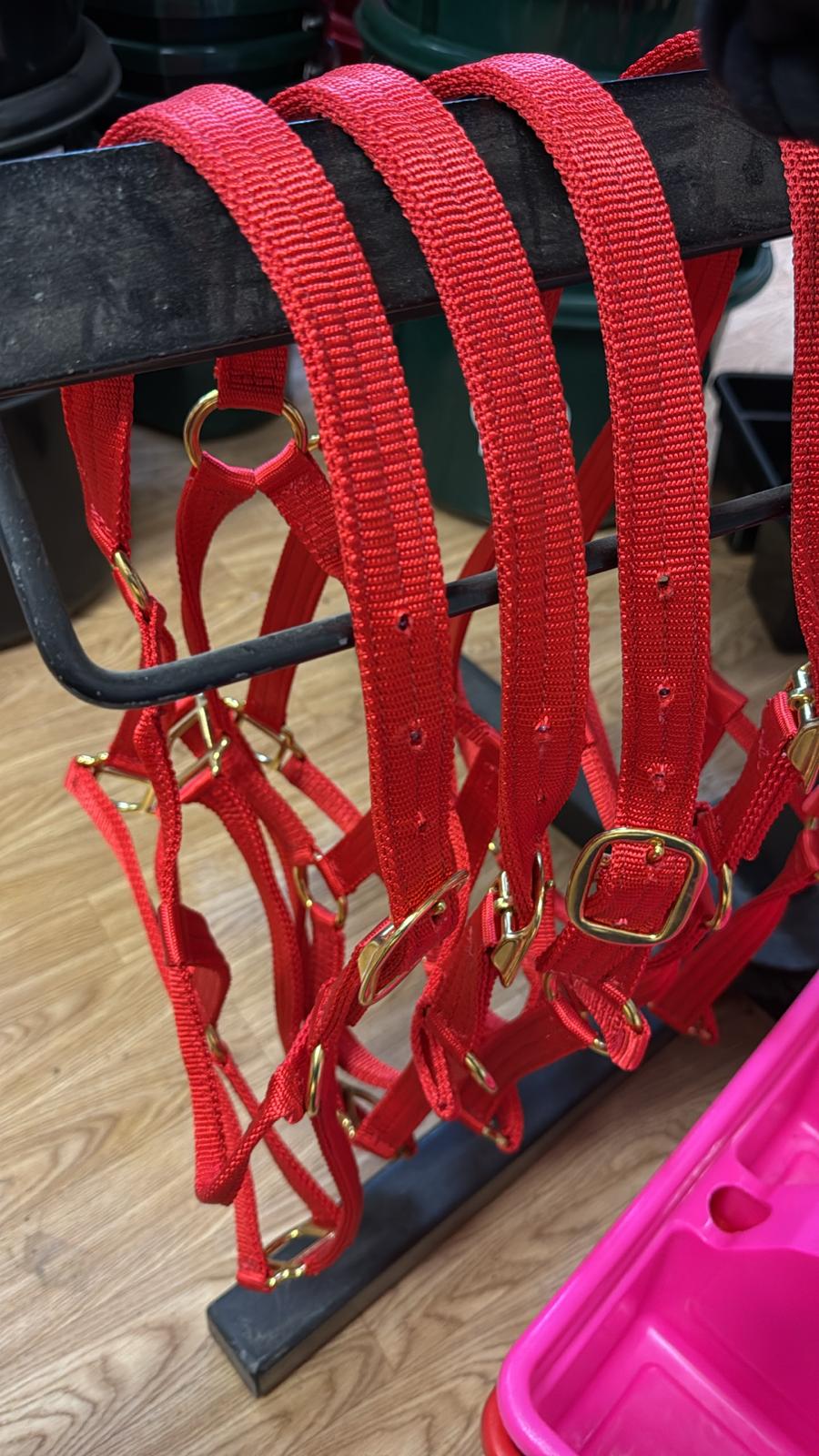 Halter Nylon Varios - One Tone