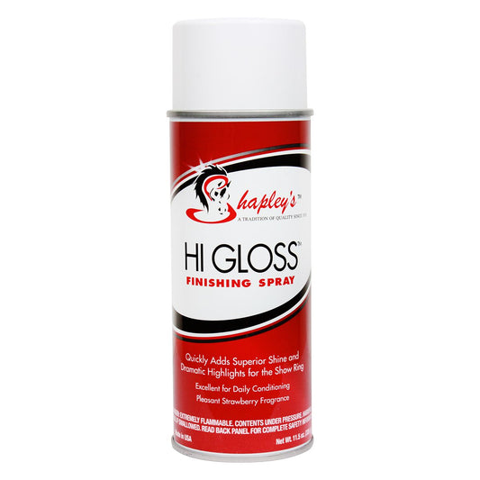 Hi Gloss Finishing Spray:19701563 - 12 Oz
