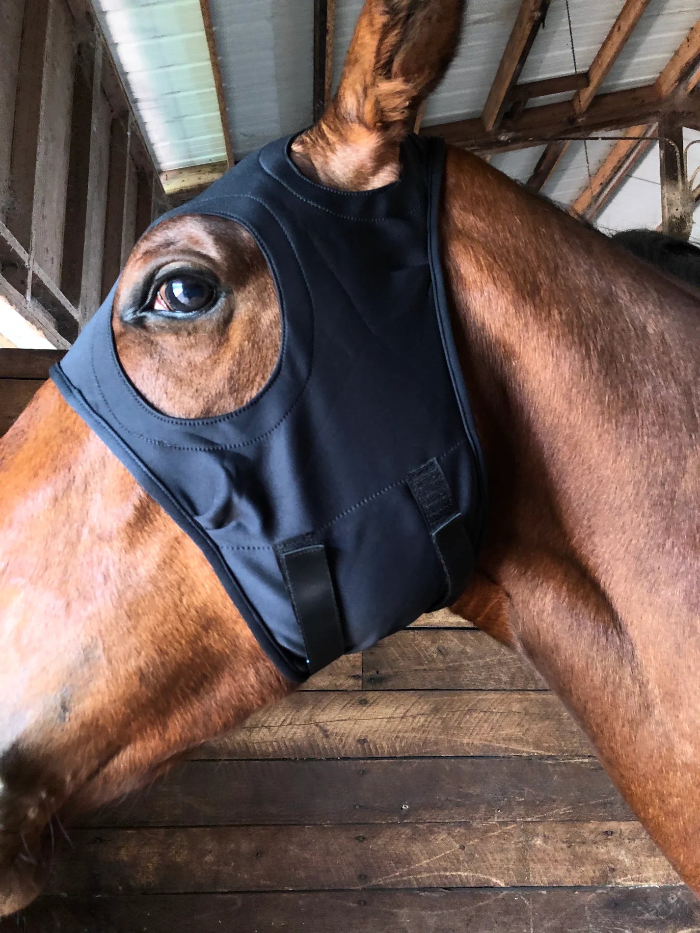 Liquid Titanium Mask