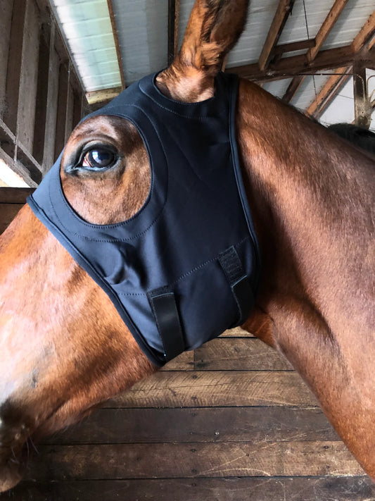 Liquid Titanium Mask