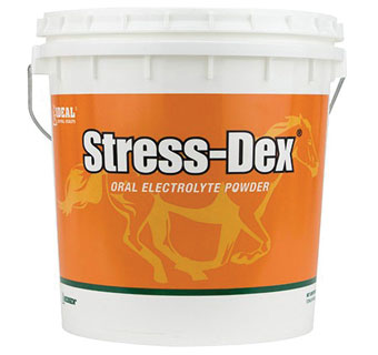 Stress Dex-21262961 : 12 lbs