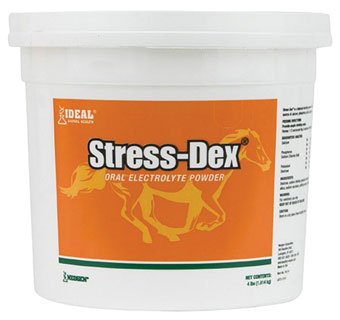 Stress Dex-21263210 : 4lbs