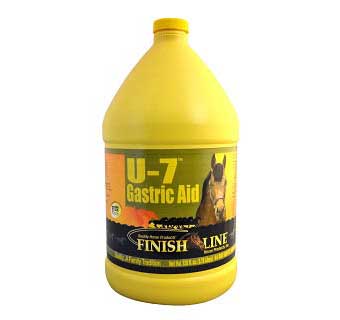 U-7 Gastric Aid-15512541 - 21314858 : Gallon/128oz