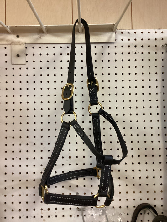 Beta Halter - BE7