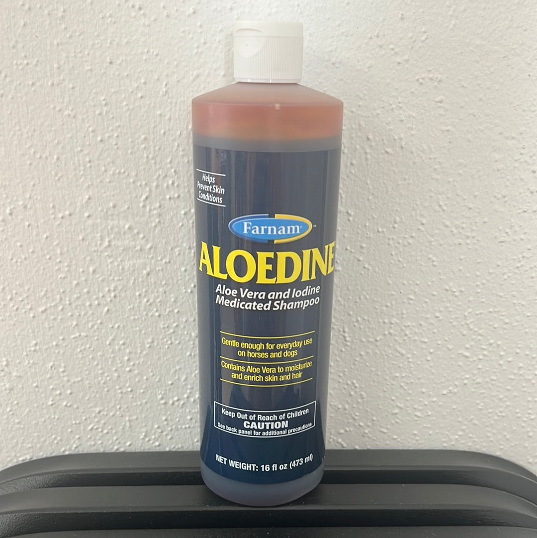 Aloedine Aloe V Iodine Shampoo-16oz - 17069068