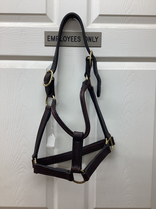 Halter Leather - TB7 Y TB6