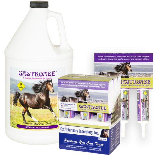 Gastroade Xtra