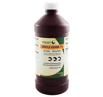 Iodine-Pint 16oz-12943265