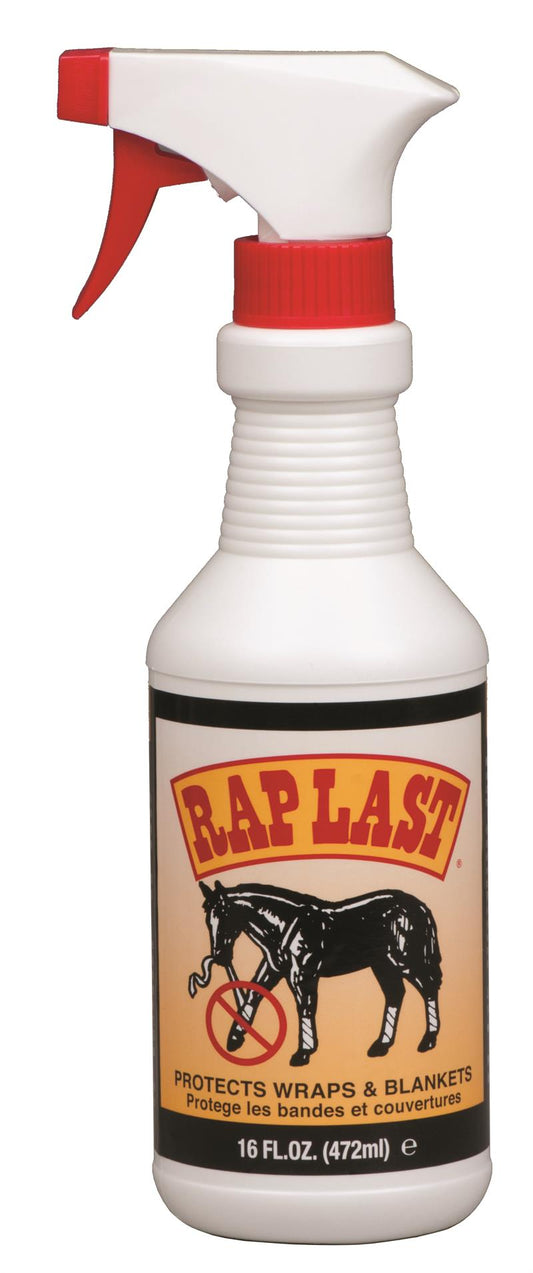 Raplast-JMS-81190 : 16 oz.