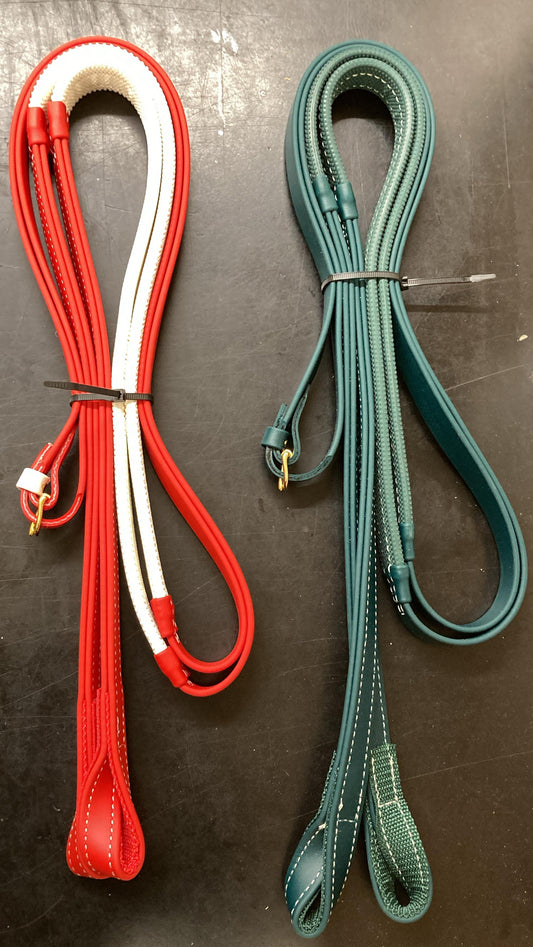 BE 750 y 751 Reins