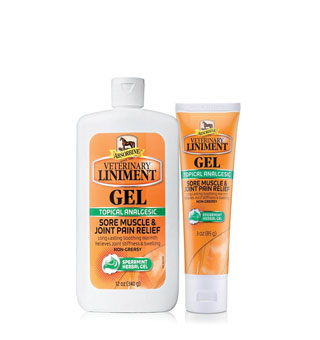 Absorbine Liniment Gel-21271770 : 3oz