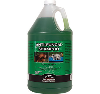 Fc Anti Fungal Shampoo 1 gal - 21254933