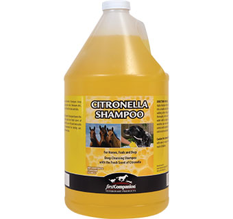 Citronella Shampoo-21254931 : Gallon
