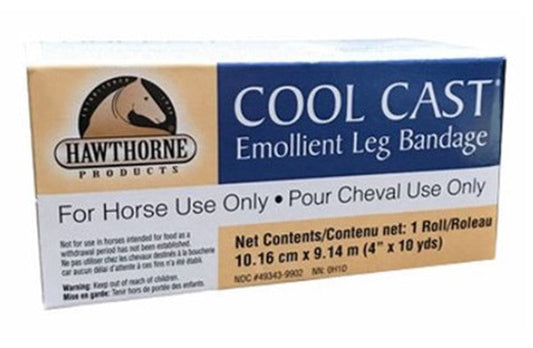 Cool Cast-21294136 : 4x10yd