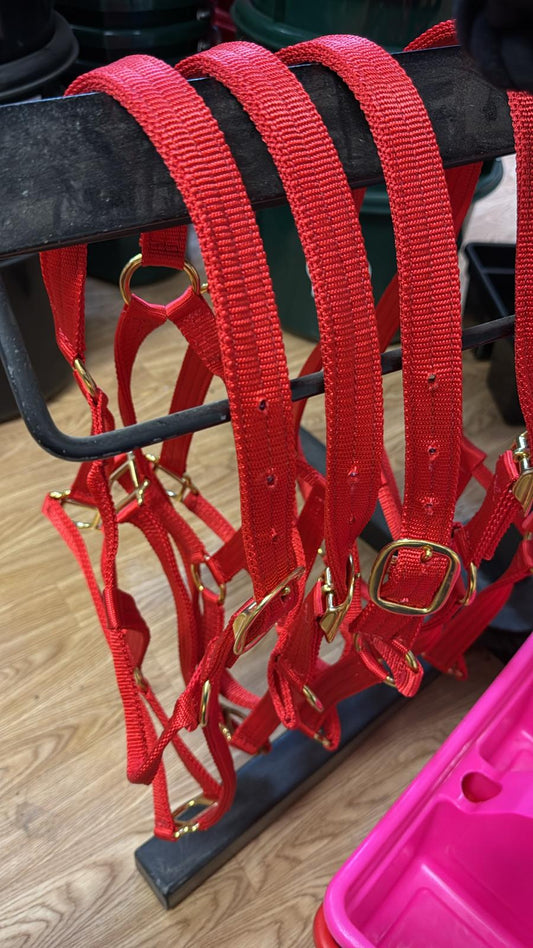 Halter Nylon Varios - One Tone