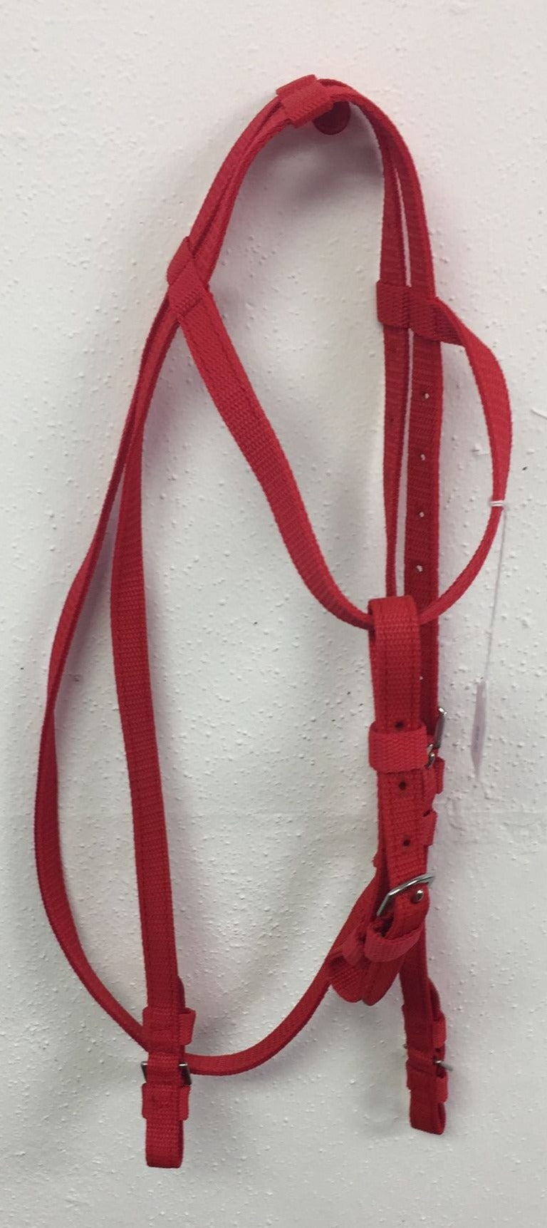 Nylon Headstall-Solid Color