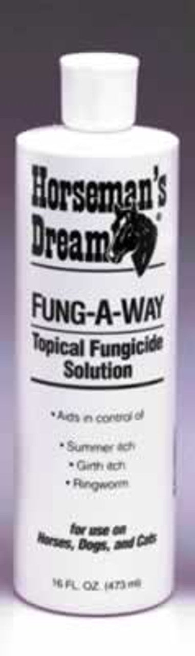 Horseman's Dream Fung a way - Pint